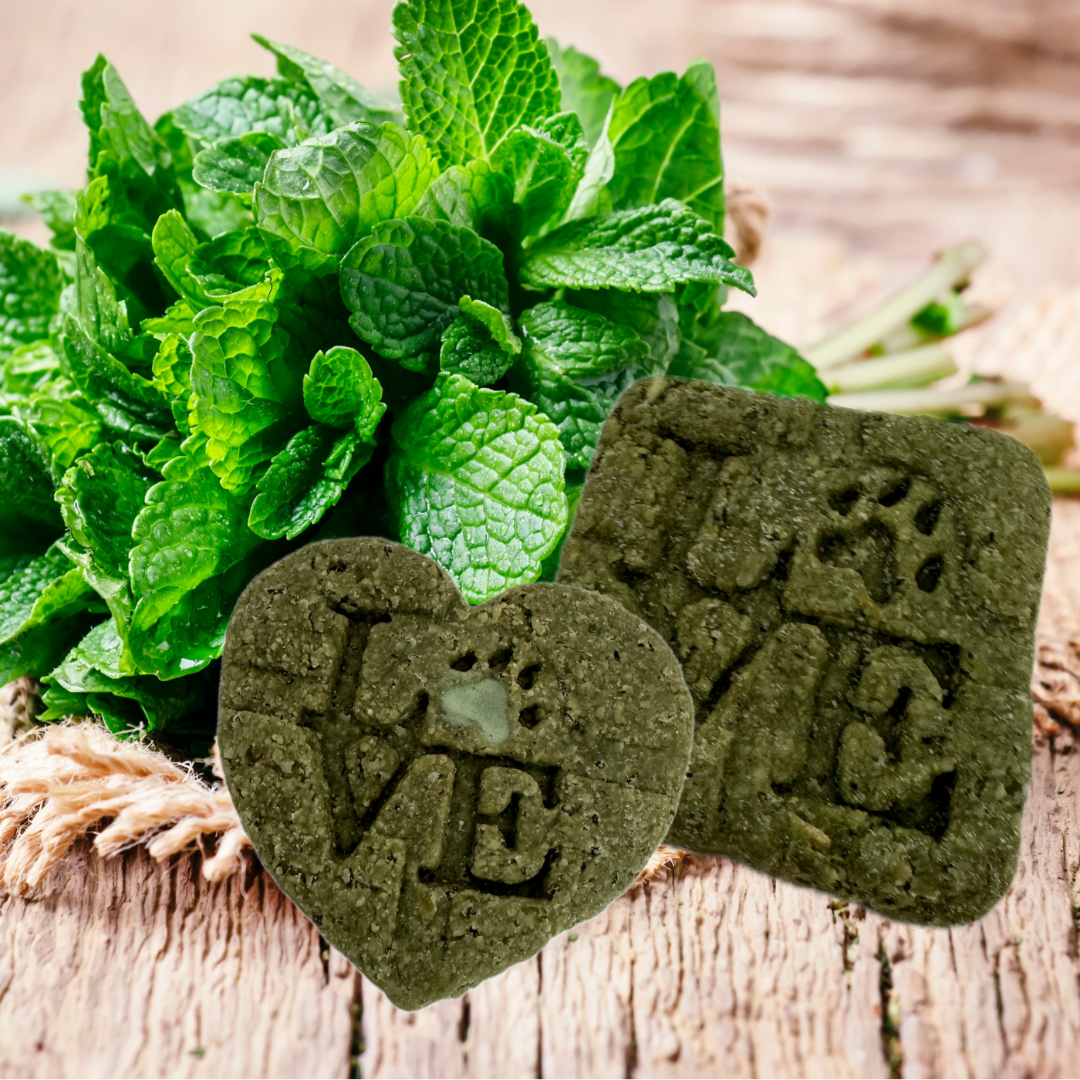 GOURMET DOGGY  BISCUITS.