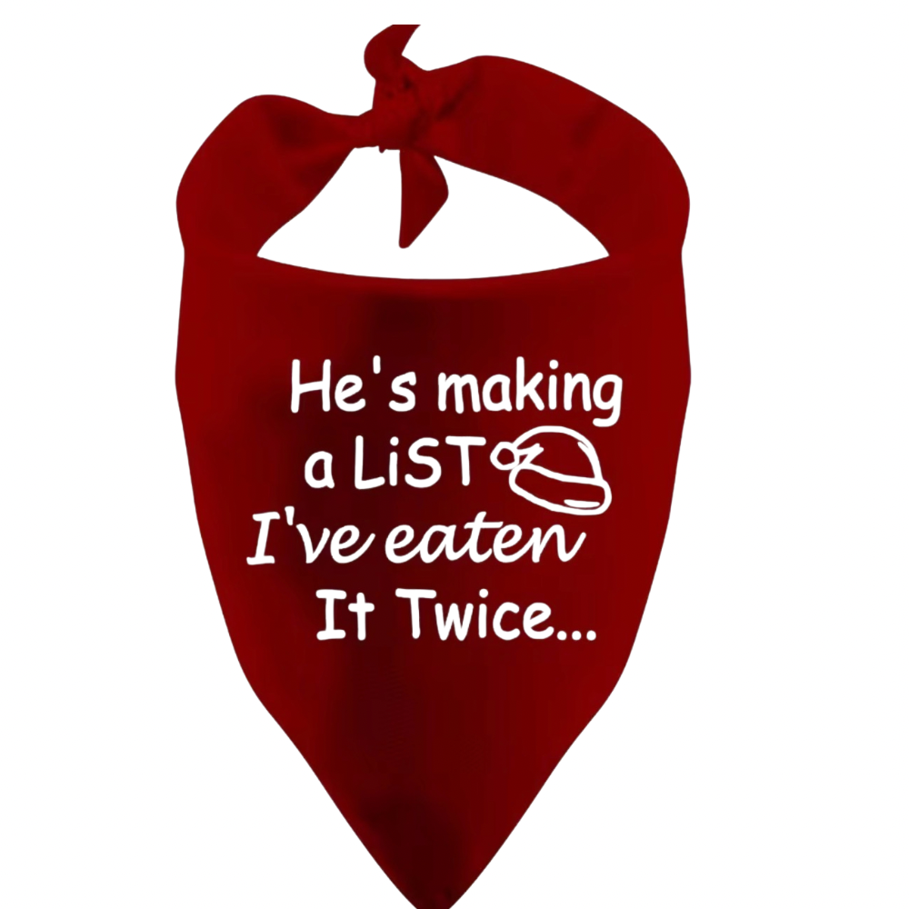 Doggy Christmas Bandana & Biscuit Pack