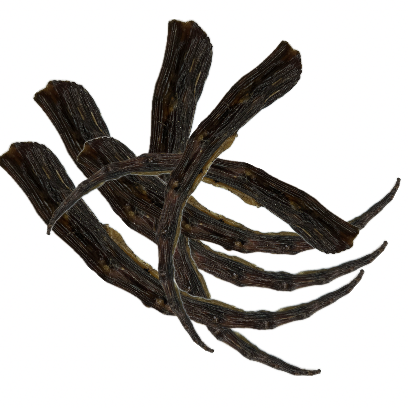 KANGAROO TAIL PIECES.