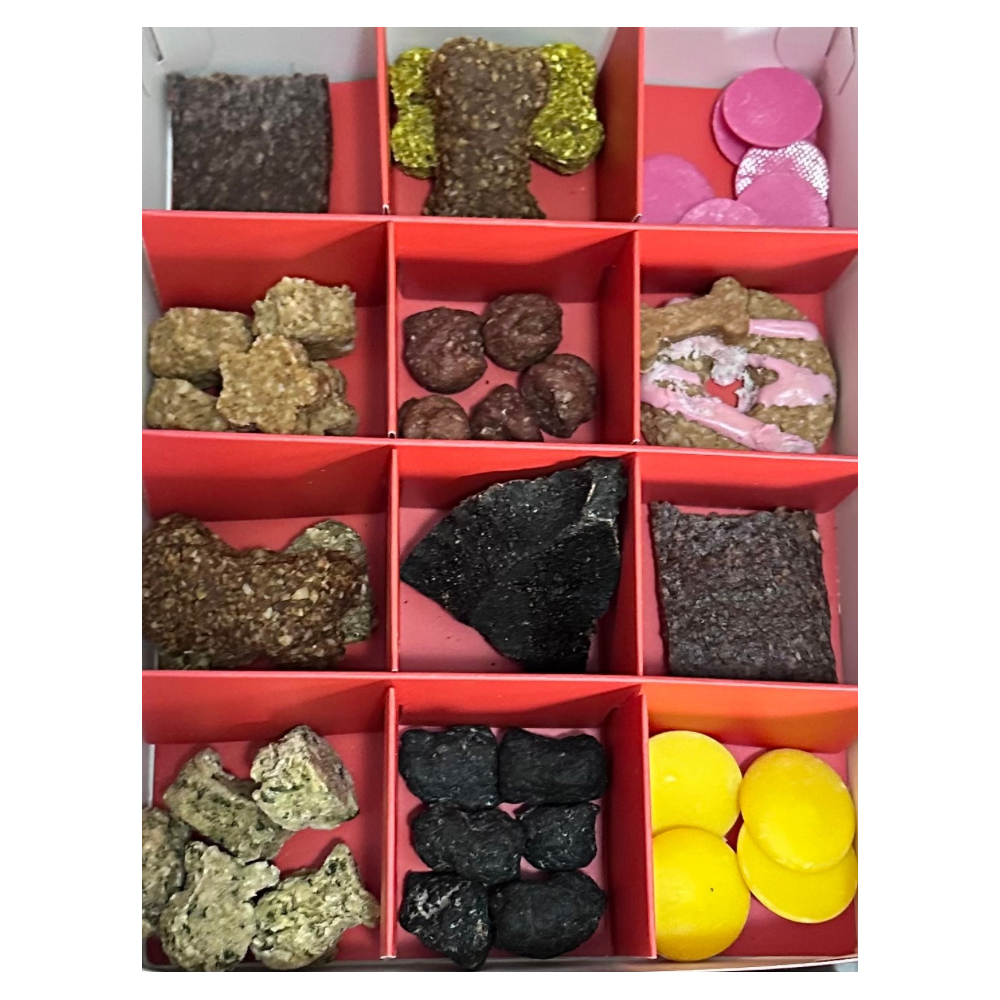 Christmas Doggy Advent Calendar