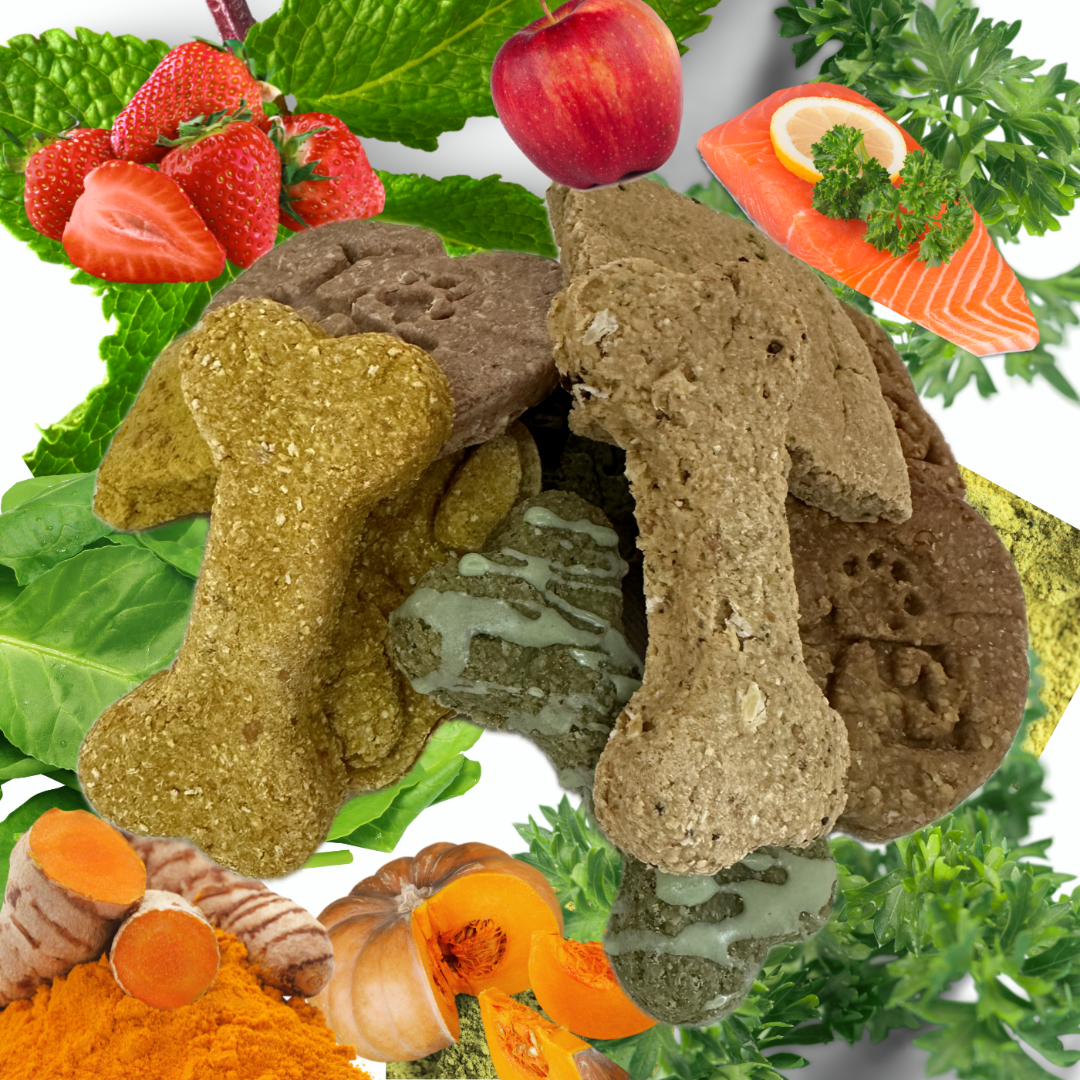 GOURMET DOGGY  BISCUITS.