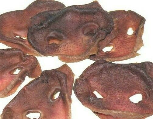 PIG SNOUTS