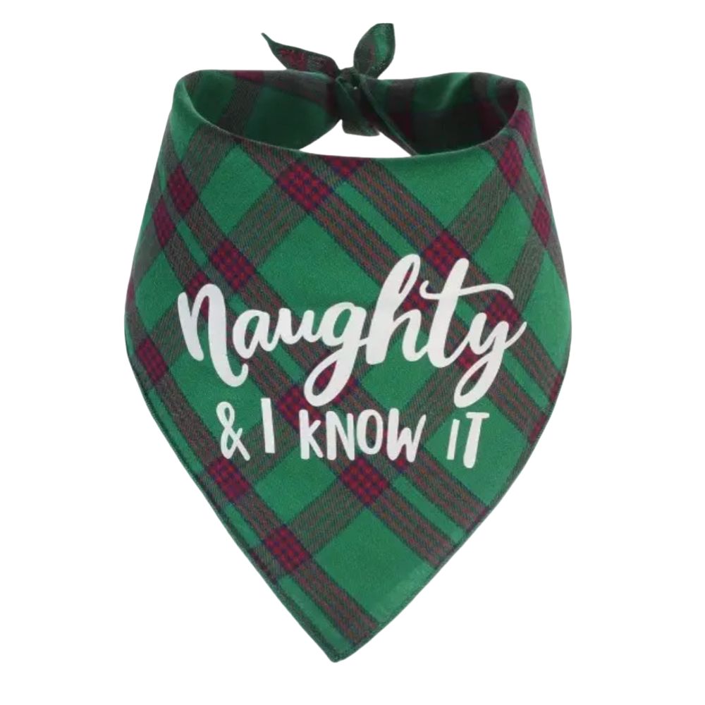 Doggy Christmas Bandanas