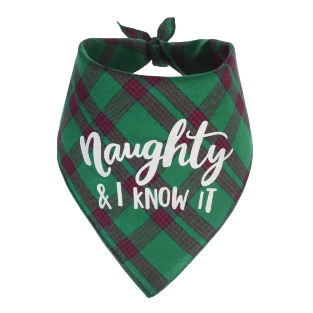Doggy Christmas Bandana & Biscuit Pack