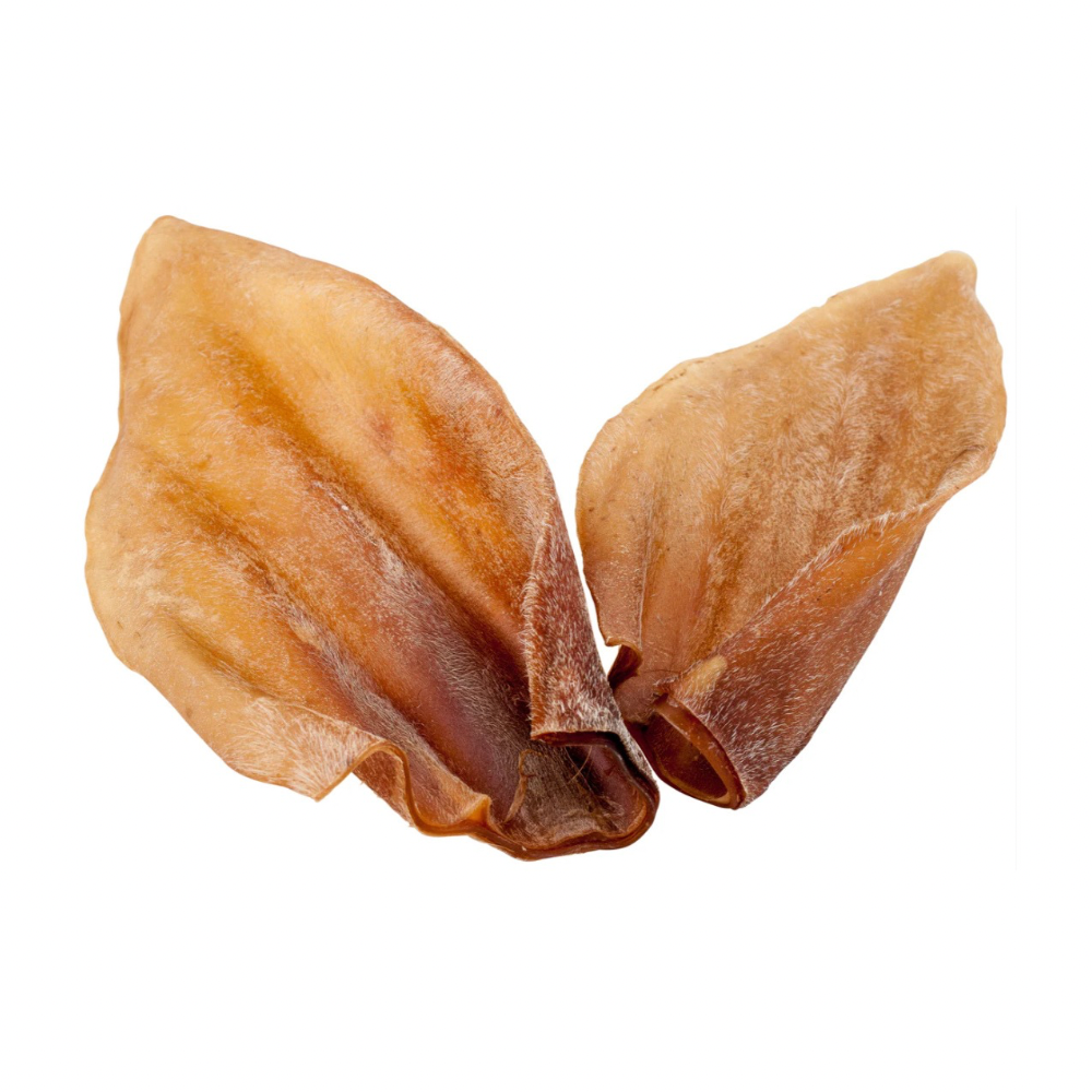 Doggy Christmas Gift Packs