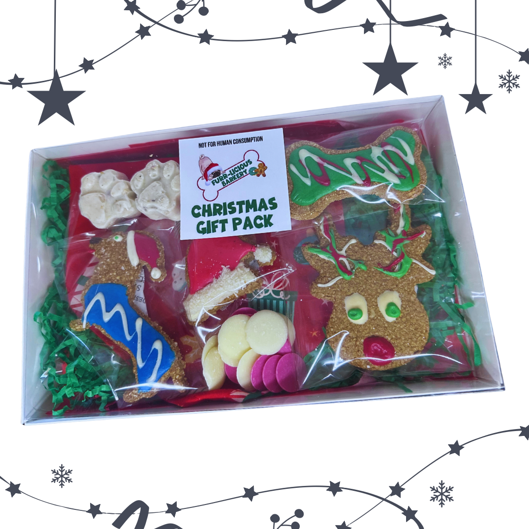 Bandana,Biscuit & Coconut Ruff     Doggy Gift Pack