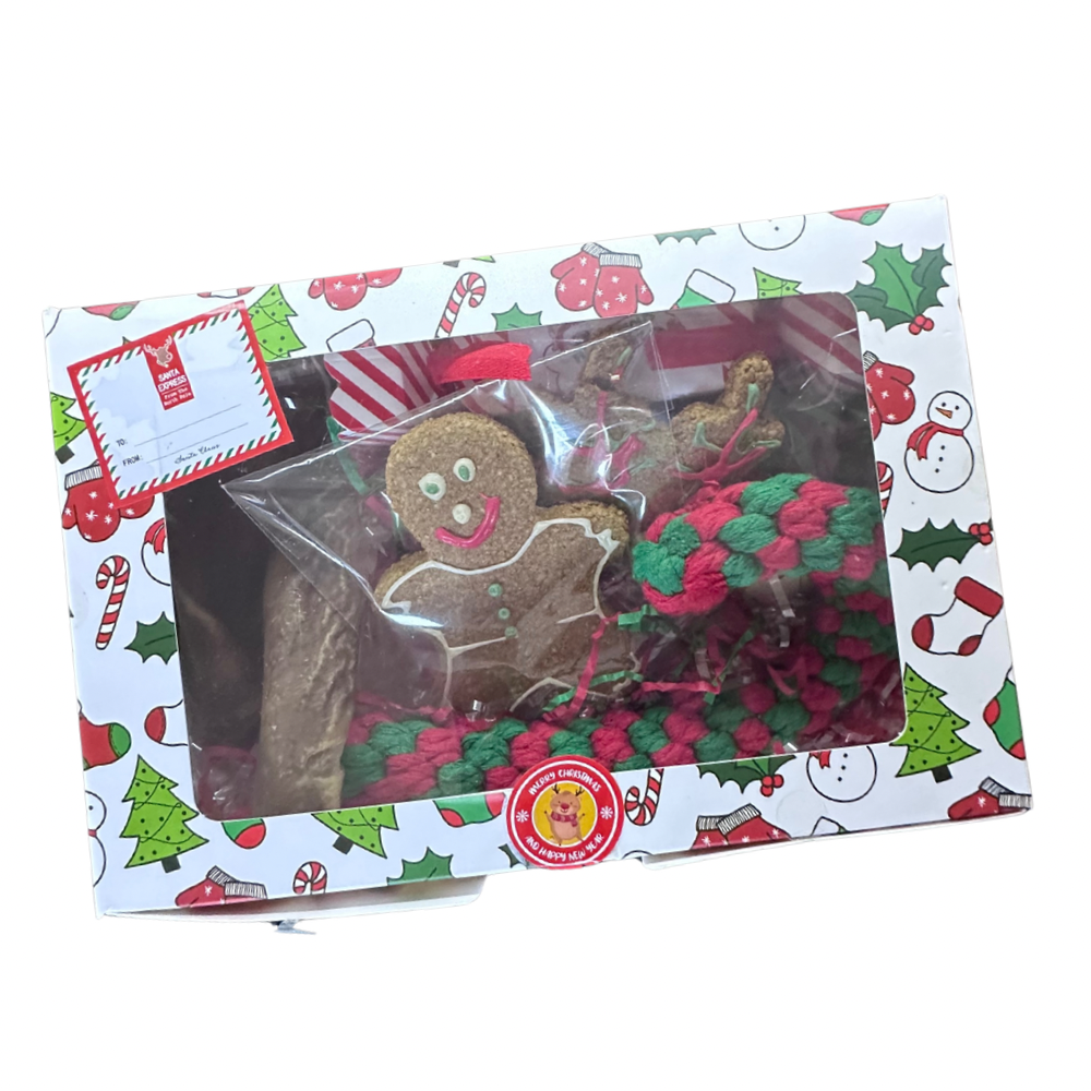 Christmas Gift Packs